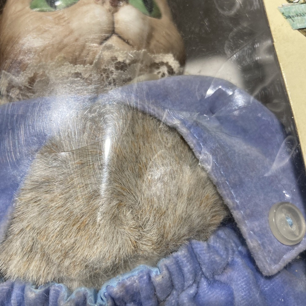 1987 Eden Toys Beatrix Potter Collection "Tom Kitten" Porcelain Head with box - Picture 2 of 8